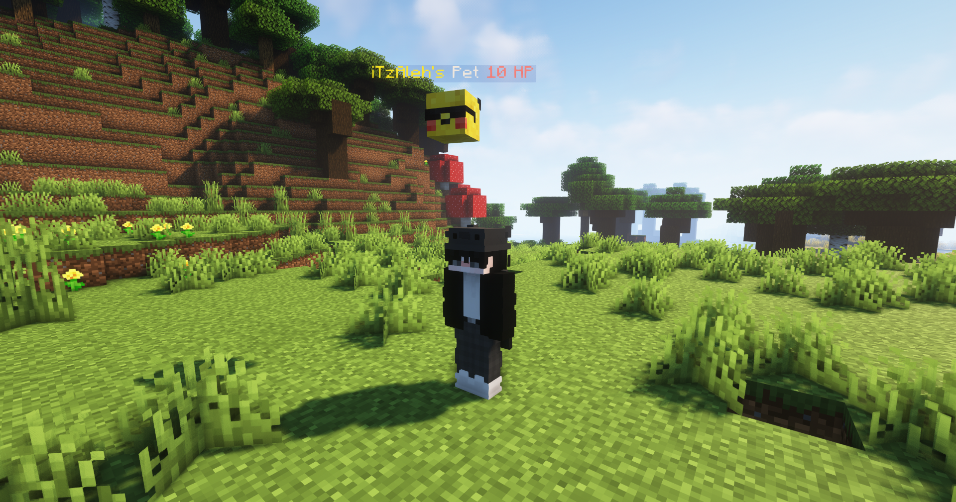 [​IMG]