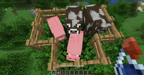 [​IMG]