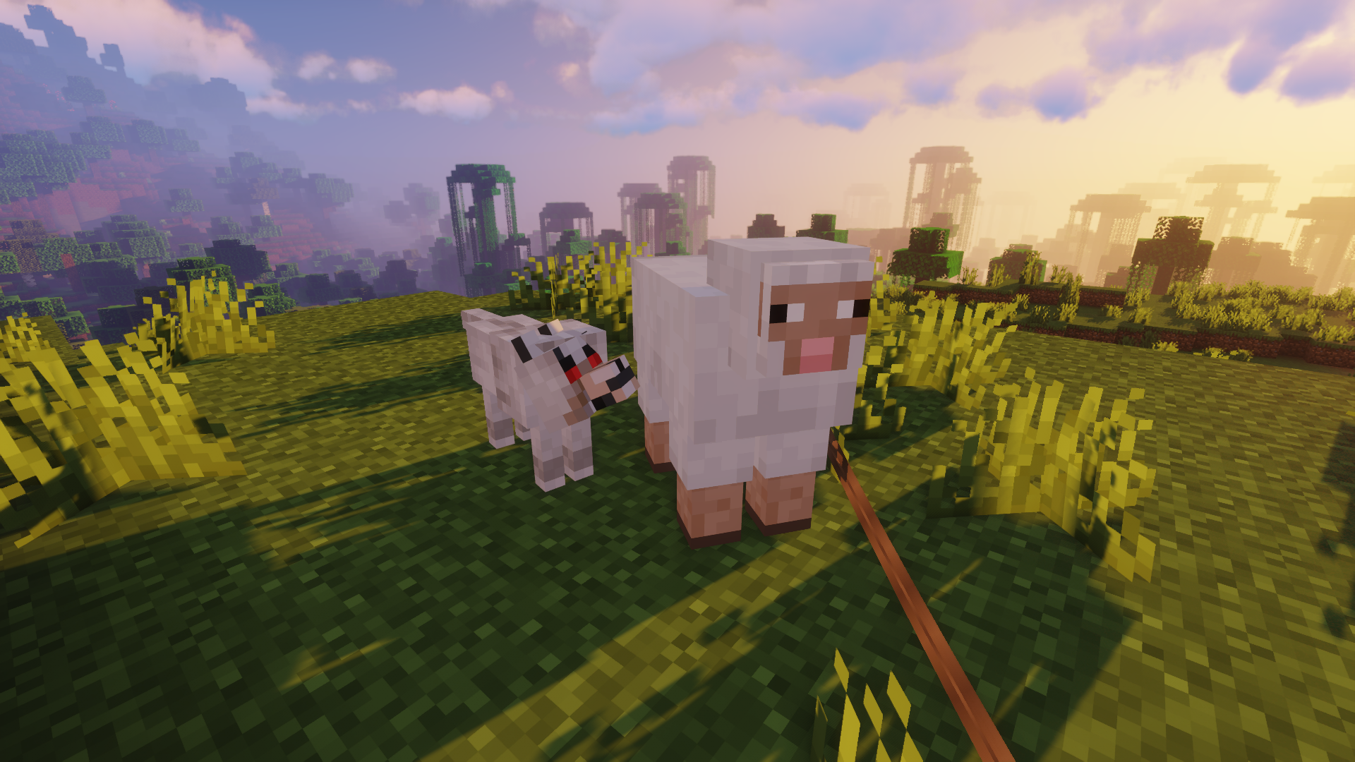 [​IMG]